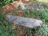 image of grave number 540136